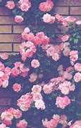 Image result for Cute Pastel Pink Aesthetic Flowers
