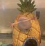 Image result for Pineapple Taco Meme