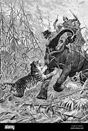 Image result for Elephant Tiger Hunt