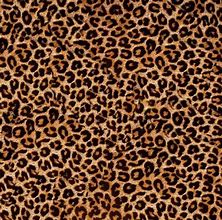 Image result for Neon Pink Cheetah Print