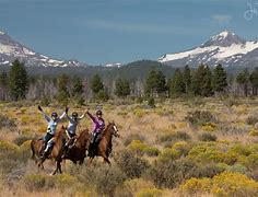 Image result for Endurance Rides