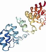 Image result for Notch Protein
