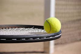 Image result for Tennis Ball Sport