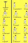 Image result for Karate Katas in Order