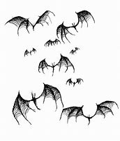 Image result for Bat Speecies