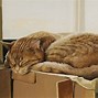 Image result for Rich Cat Painting