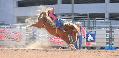 Image result for Las Vegas Rodeo
