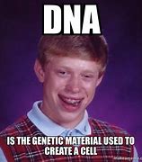 Image result for Lizard DNA Meme