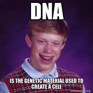 Image result for DNA Meme Evolution