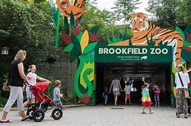 Image result for Zoo Open Gate