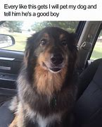 Image result for Twitter Dog Meme