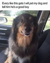 Image result for Dog Newspaper Meme