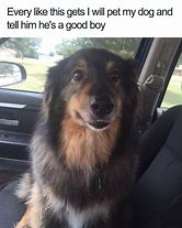 Image result for Cool Dog Meme