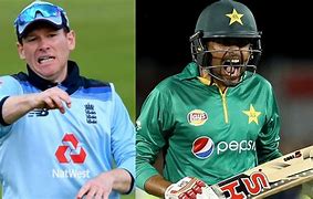 Image result for World Cricket