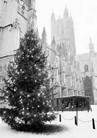 Image result for Notre Dame Christmas Lights