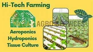 Image result for High-Tech Farming