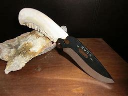 Image result for Jaw Bone Handle Knives