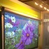 Image result for LCD Projection Panels