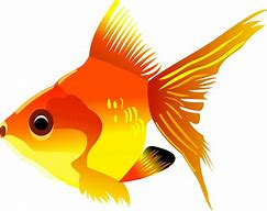 Image result for Mega Bites Goldfish Cartoon