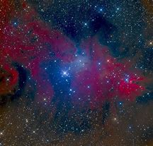 Image result for Fox Fur Nebula