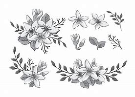 Image result for Jasmine Flower Art
