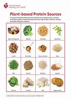 Image result for Plant-Based Protein Brand T3