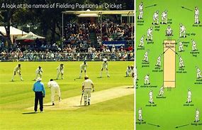 Image result for Cricket Field Placements