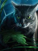 Image result for Warrior Cats Twig Branch