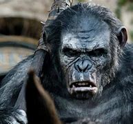 Image result for Guy From Planet of the Apes