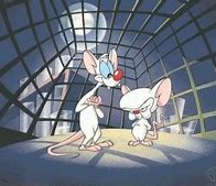 Image result for Create Pinky and the Brain Meme