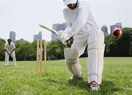 Image result for Cricket Guard Supporter