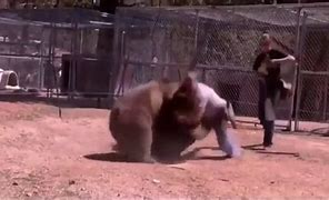 Image result for Man Mauled by Bear Prescott AR Pictures