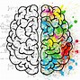 Image result for Fun Facts About Right Brain