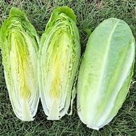 Image result for calorina