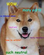 Image result for Dog Studying Meme