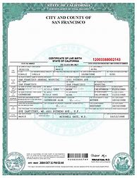 Image result for Blank Birth Certificate for State of New Mexico