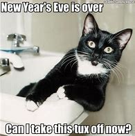 Image result for Cat Memes Clean and Funny