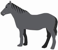 Image result for Transparent Horse Clip Art