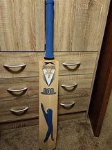Image result for Slazenger V900 Cricket Bat