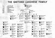 Image result for Lucchese Crime Family Chart