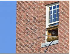 Image result for Tallest House Falcon Nest