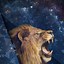 Image result for Attacking Lion iPhone Wallpaper