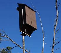 Image result for Bat House Inside