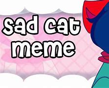 Image result for Sad Cat Meme Edit