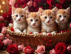 Image result for Cute Kittens in Cups