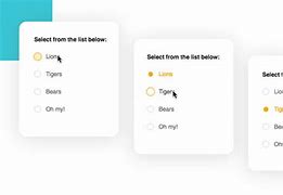 Image result for Radio Button Example