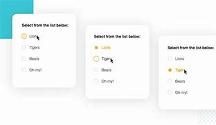 Image result for Website Radio Button