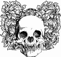 Image result for Skull Illustration