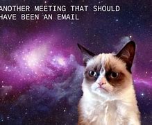 Image result for Funny Mean Cat Memes