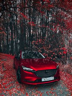 Red Vibes ❤️#mazda6 | Мазда6, Мазда, Автомобили